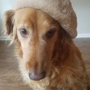 Meet your Posher, Marian